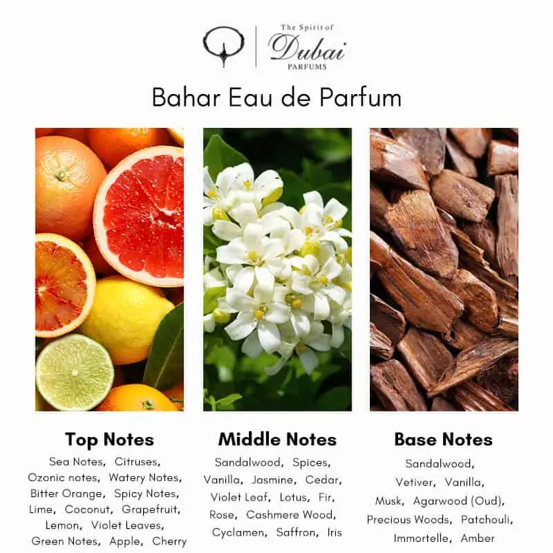 THE SPIRIT OF DUBAI Bahar eau de parfum - 50 ml - parfum